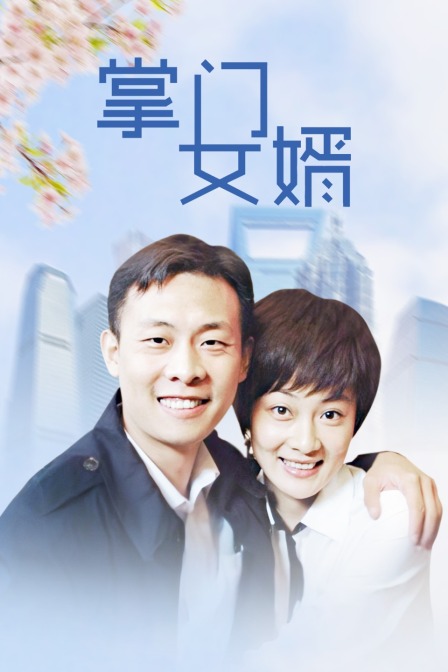 掌门女婿封面图