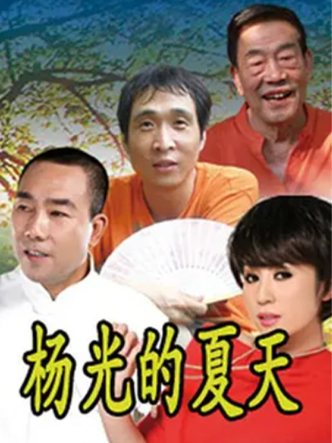 杨光的夏天封面图