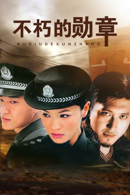 不朽的勋章封面图