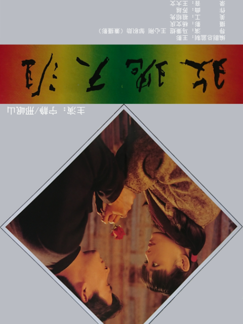 玫瑰天涯封面图