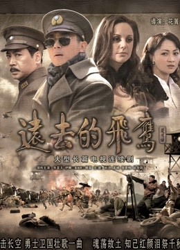 远去的飞鹰封面图