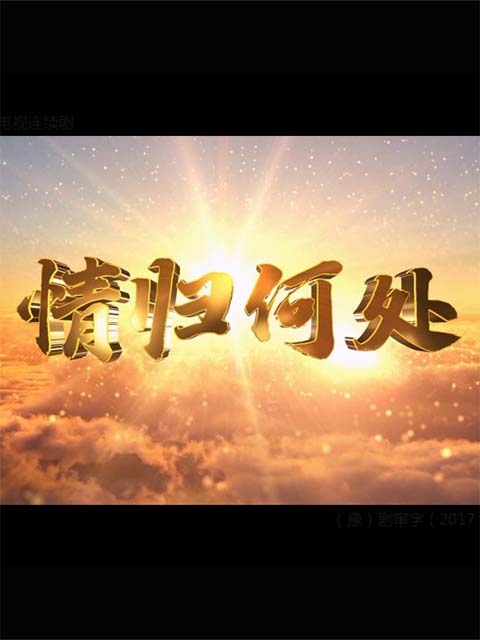 情归何处封面图