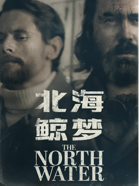 北海鲸梦封面图