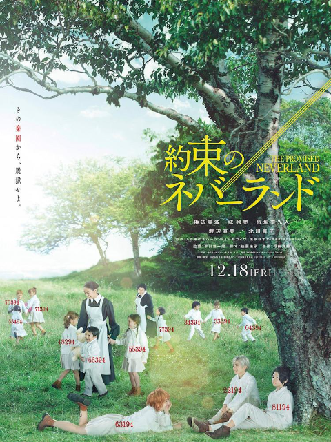 约定的梦幻岛封面图