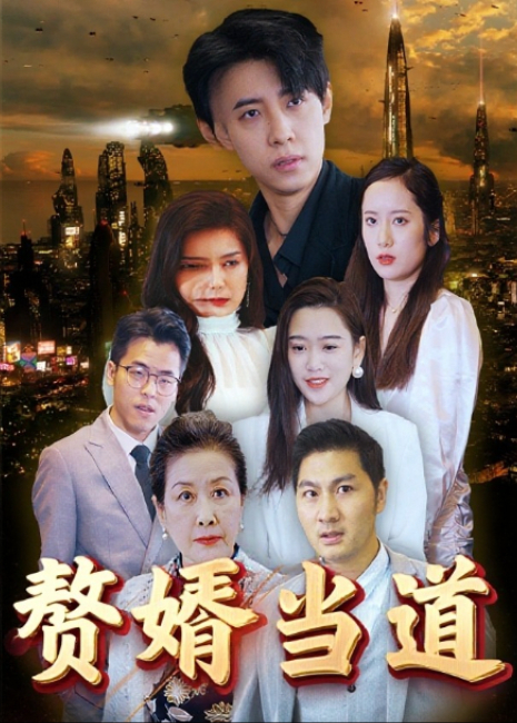 赘婿当道封面图