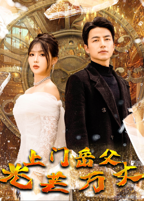 上门岳父光芒万丈封面图