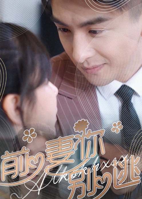 前妻你别逃封面图