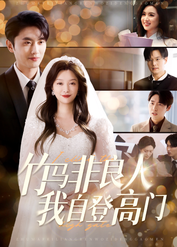 竹马非良人，我自登高门封面图