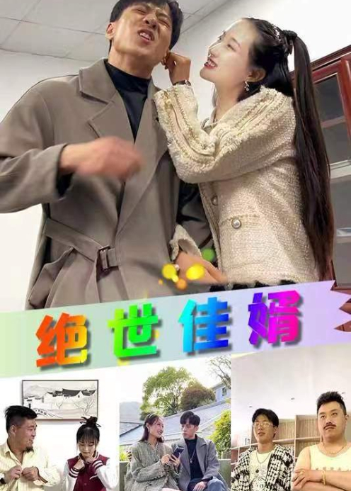 绝世佳婿封面图
