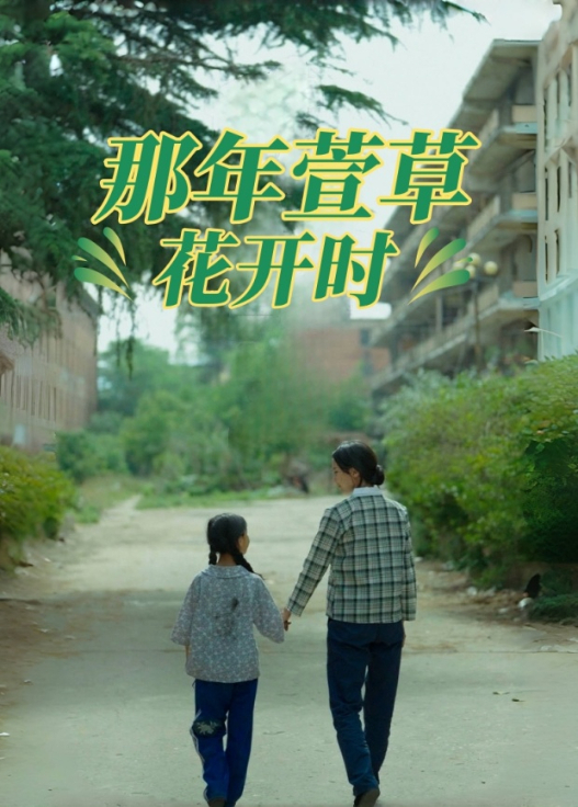 那年萱草花开时封面图