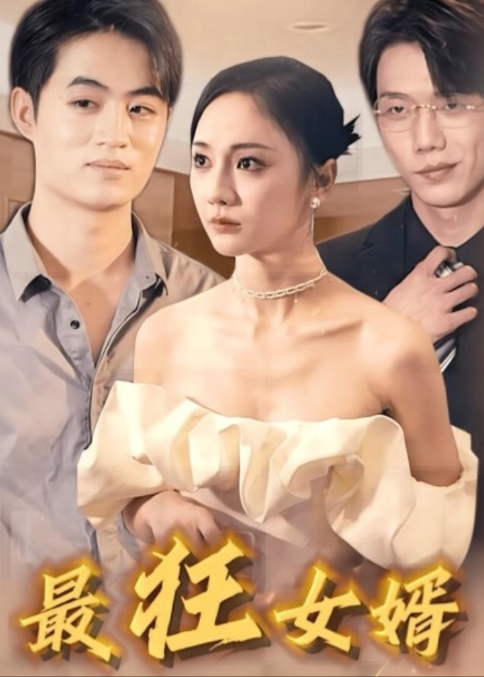 最狂女婿封面图