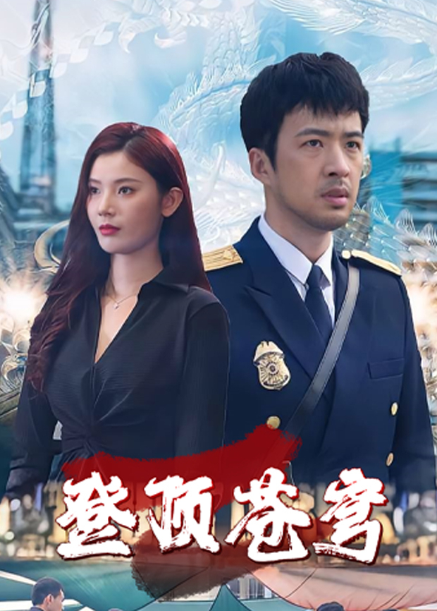 登顶苍穹封面图