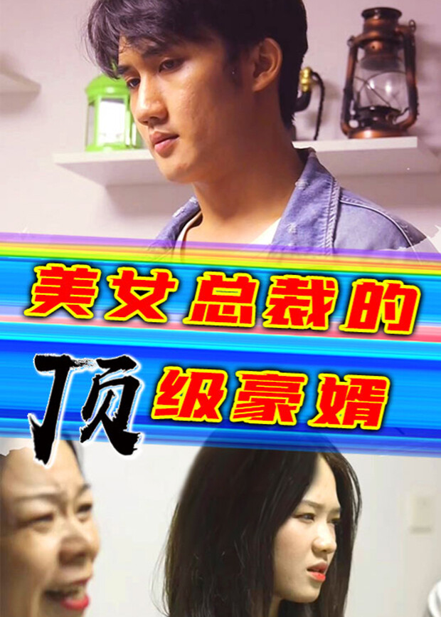 美女总裁的顶级豪婿封面图