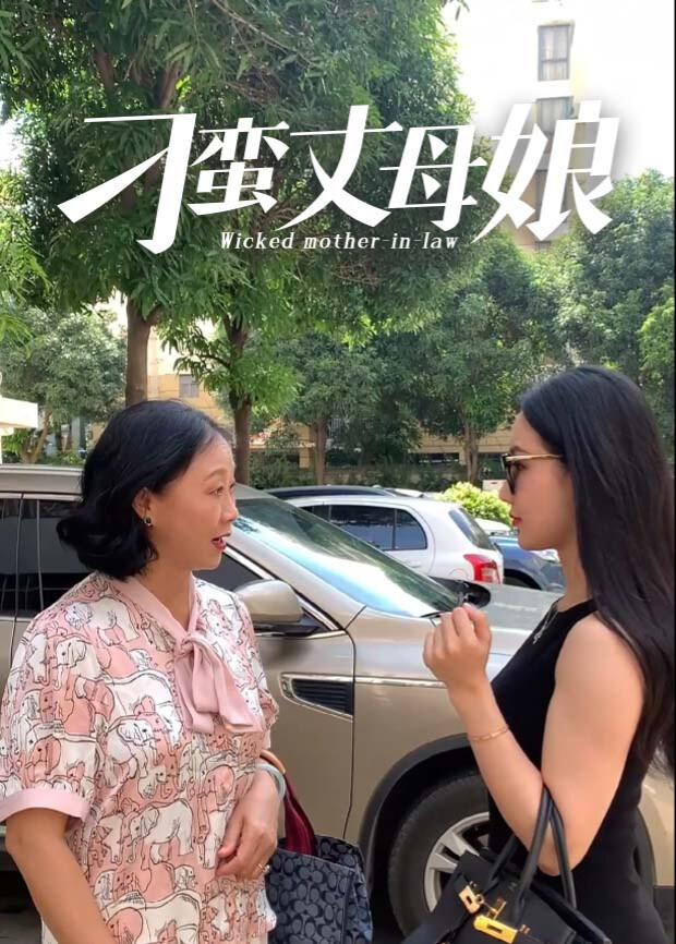 刁蛮丈母娘封面图