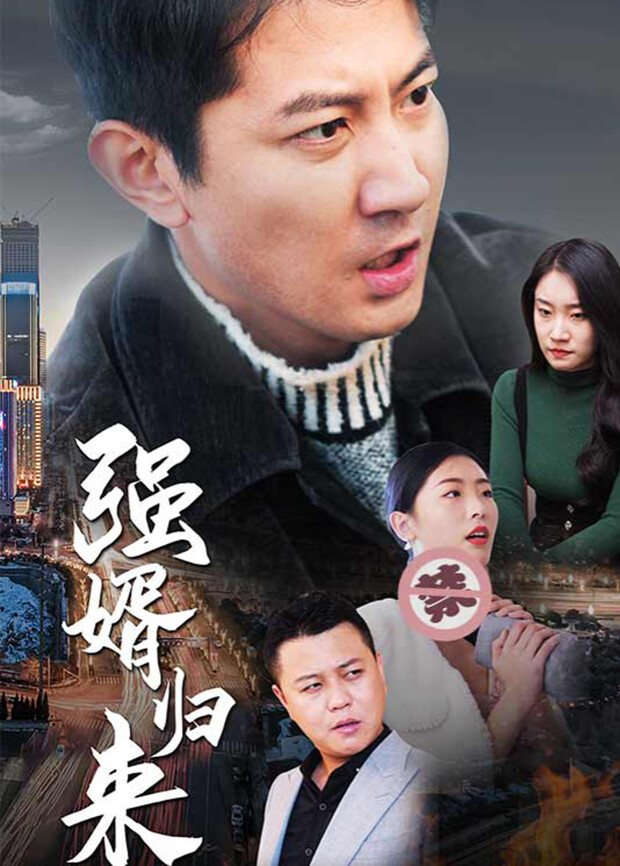 强婿归来封面图