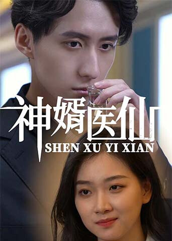 神婿医仙封面图