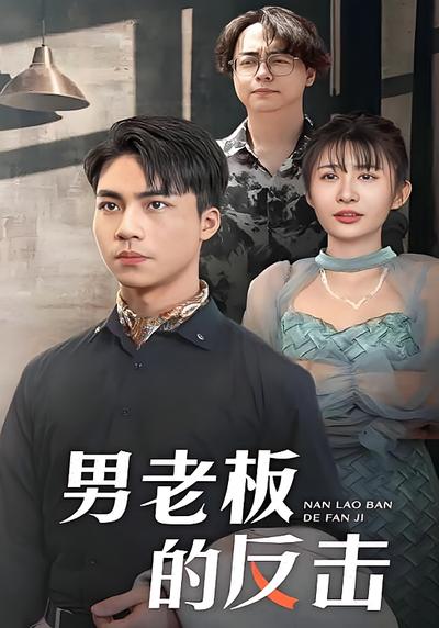 男老板的反击封面图