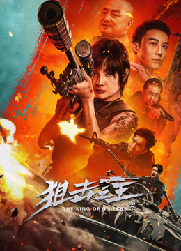 狙击之王：暗杀封面图