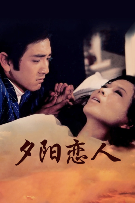 夕阳恋人封面图