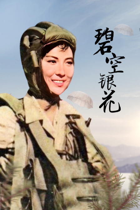 碧空银花封面图