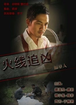 火线追凶之掘墓人封面图