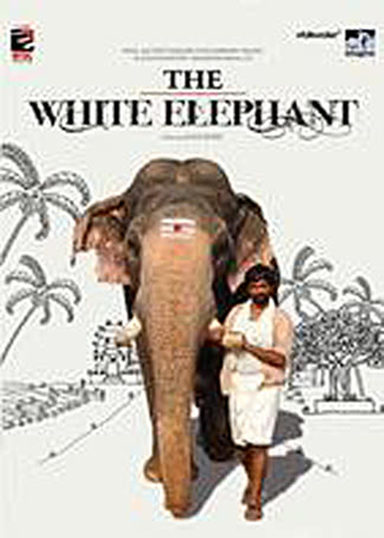白象封面图
