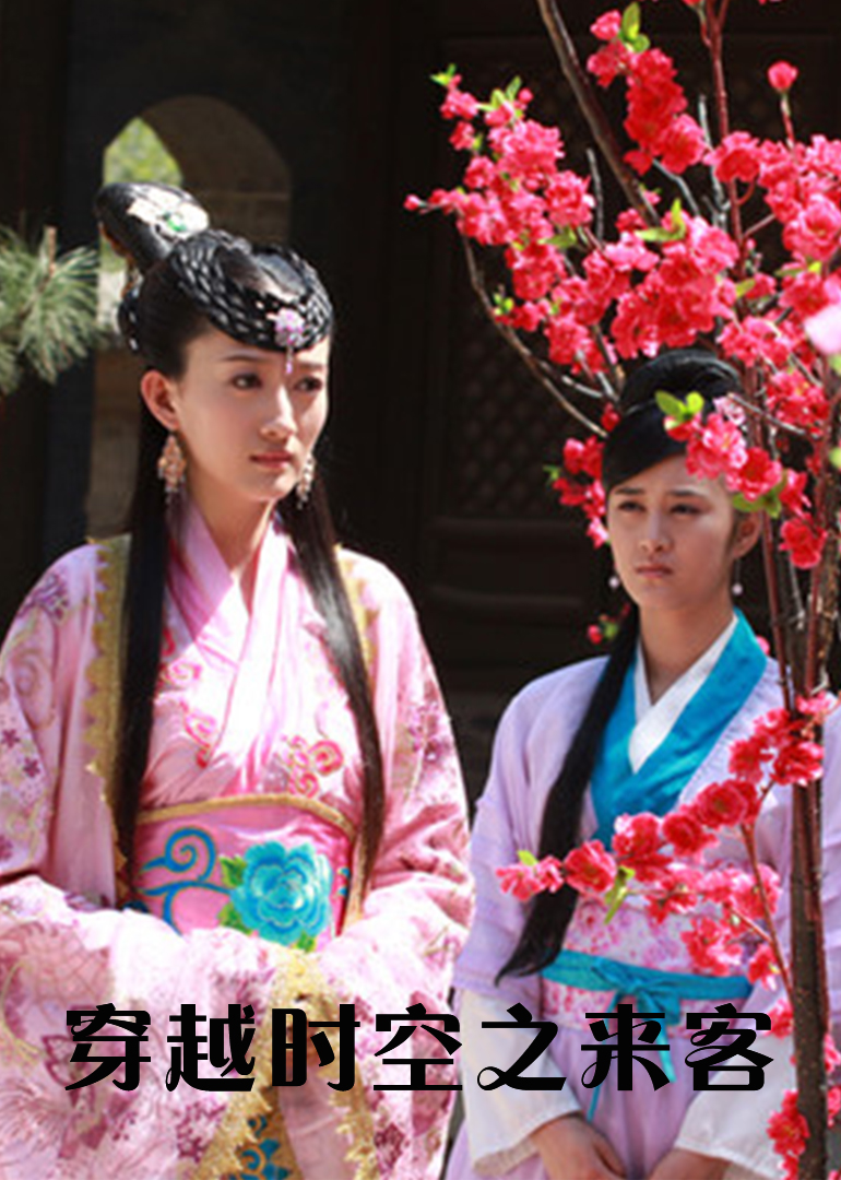 穿越时空之来客封面图