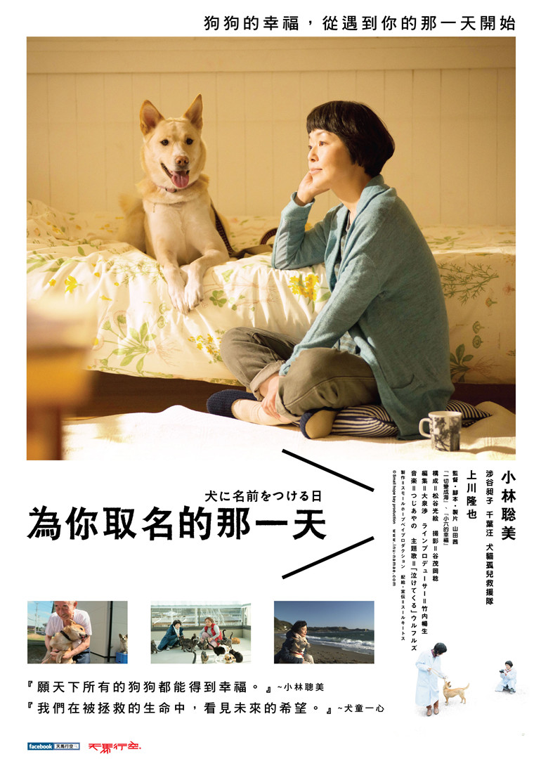 为你取名的那一天封面图