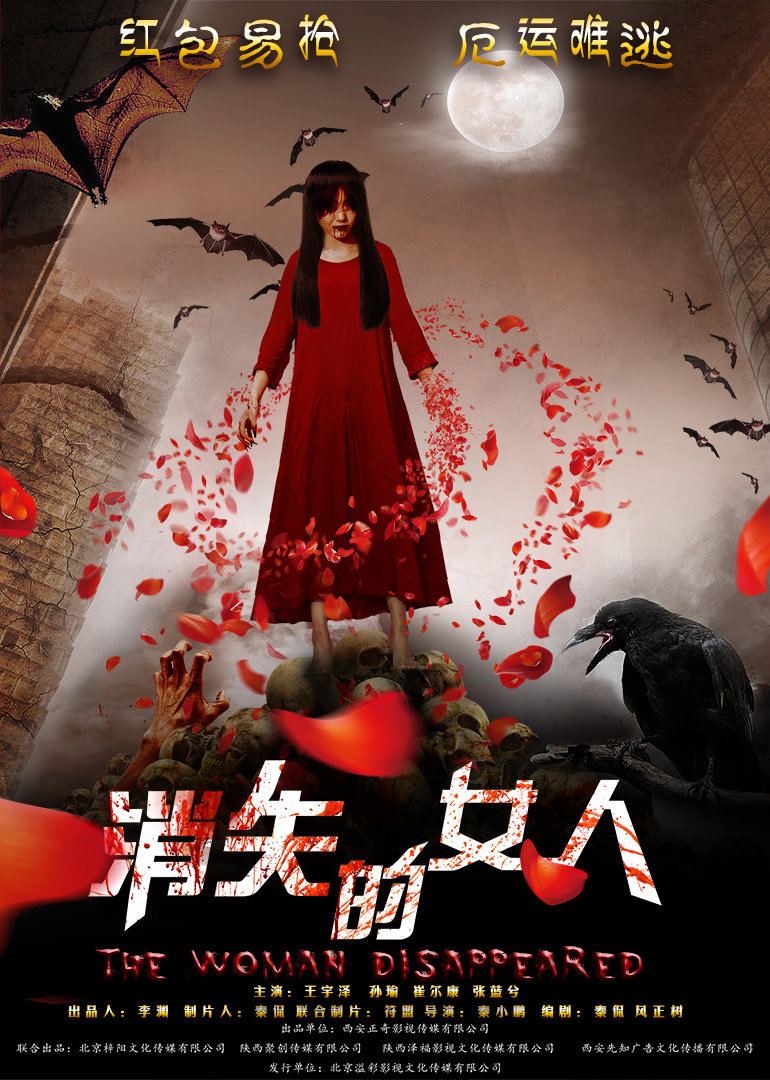 消失的女人封面图