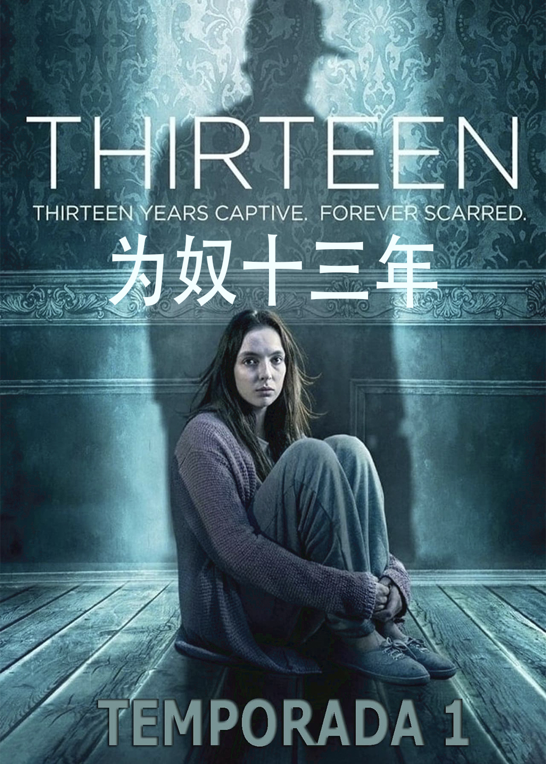 为奴十三年封面图
