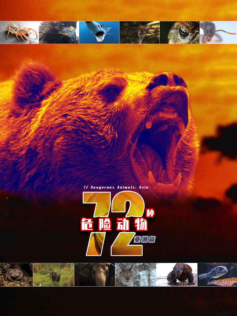 72种危险动物——亚洲篇封面图
