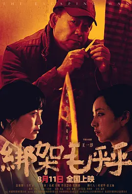 绑架毛乎乎封面图