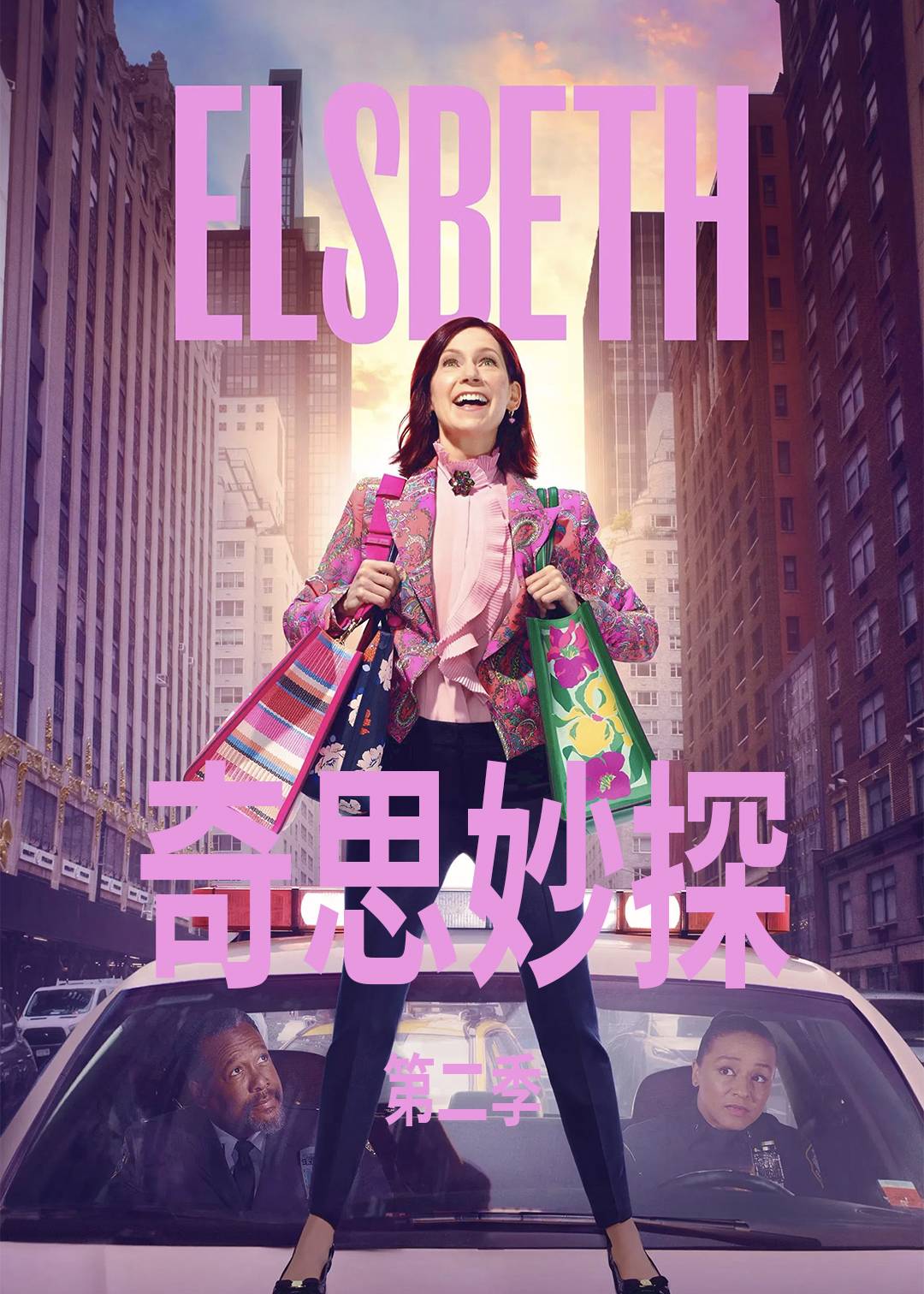 奇思妙探第二季封面图