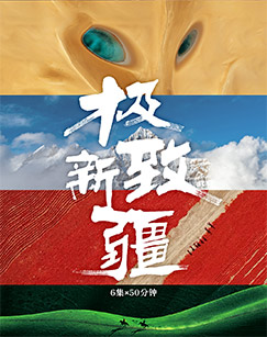 极致新疆封面图