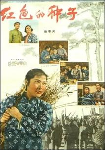 红色的种子封面图