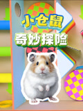 小仓鼠奇妙探险