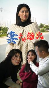 妻子的怒火封面图