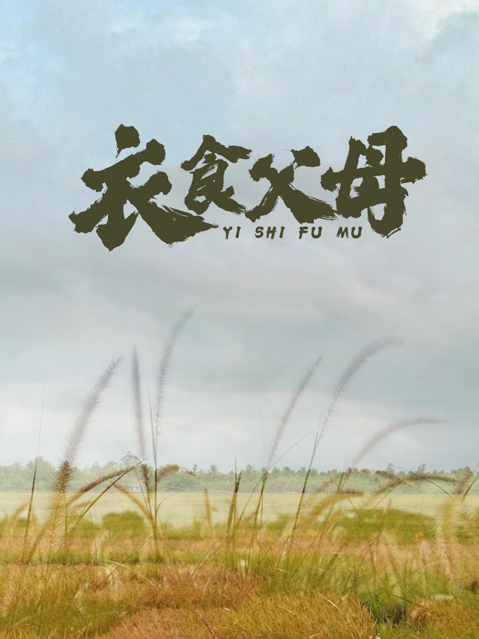 衣食父母封面图