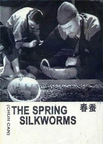 春蚕封面图