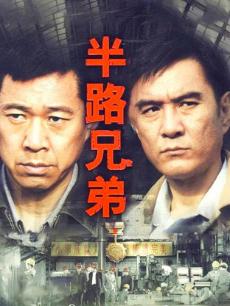 半路兄弟封面图