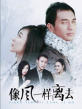 像风一样离去封面图