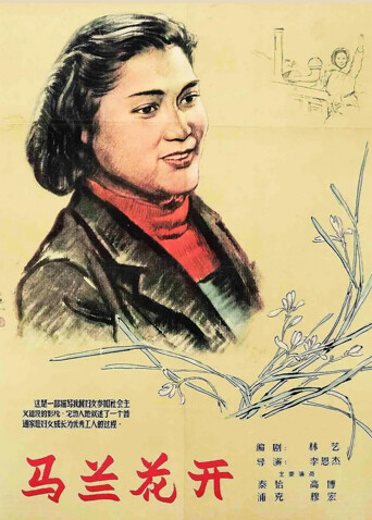 马兰花开封面图