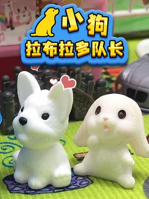 小狗拉布拉多队长封面图