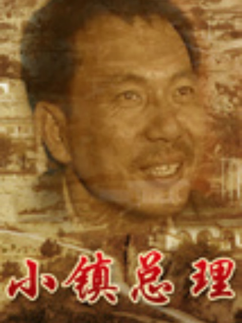 小镇总理封面图