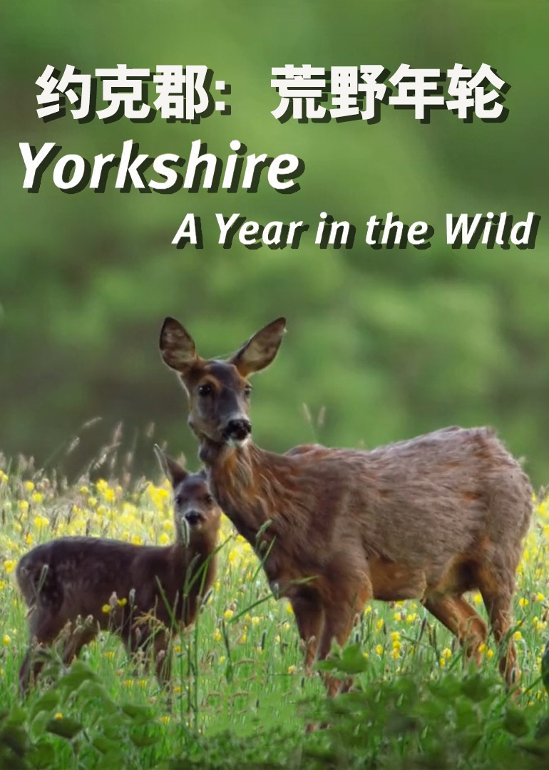 约克郡：荒野年轮封面图