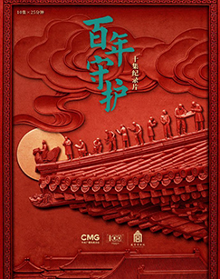 百年守护封面图