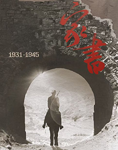 家书——四万万人的抗战记忆封面图