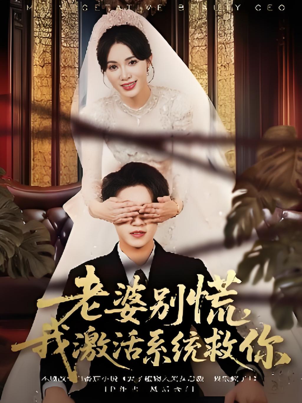 老婆别慌我激活系统救你封面图