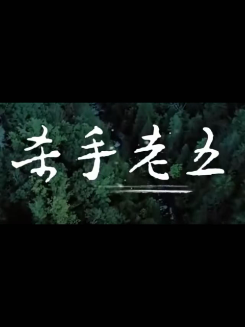 杀手老五封面图