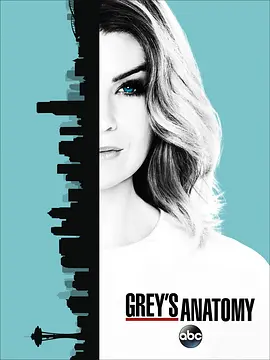 实习医生格蕾 第十三季 Grey's Anatomy Season 13封面图